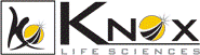 Client 8